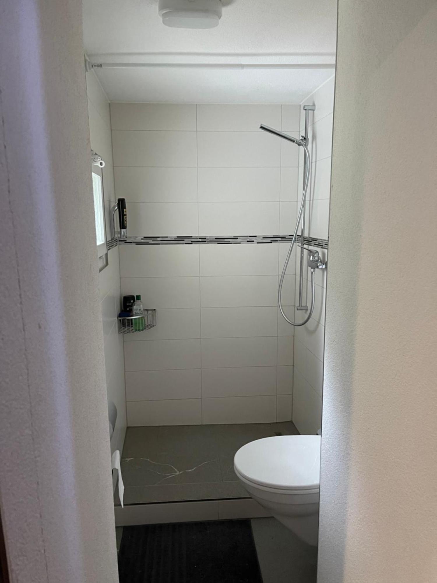Haus Alpenhof Wassen Exterior foto